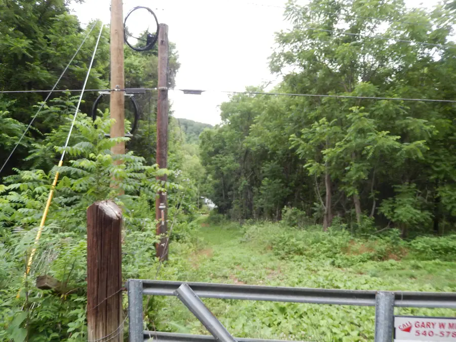 898 Sandy Bottom Rd, Elkton, VA 22827 - #2