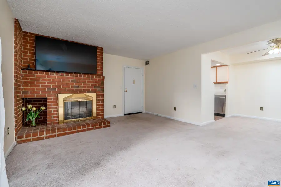 137 Green Turtle Ln, Charlottesville, VA 22901 - #2