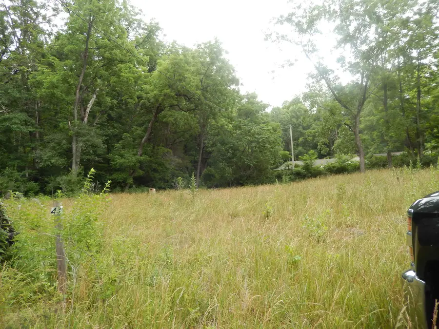 43 Cody Ln, Mount Solon, VA 22843 - #3