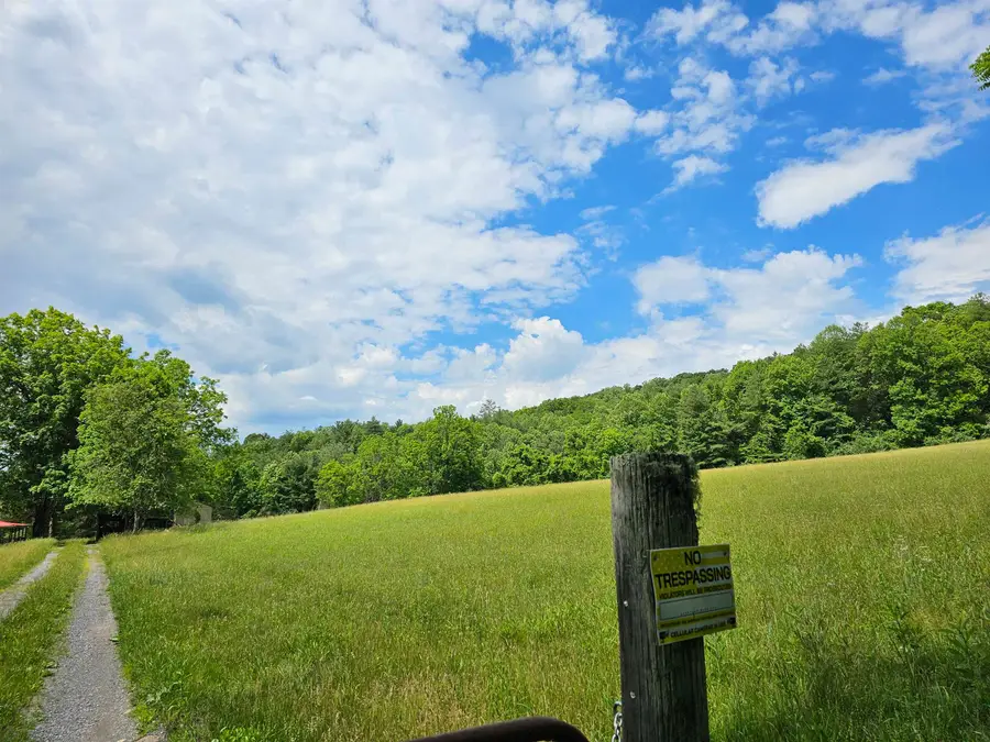 2105 Coles Mountain Rd, Hot Springs, VA 24445 - #2