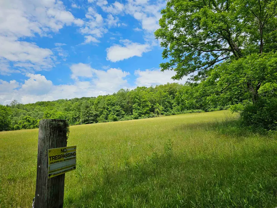 2105 Coles Mountain Rd, Hot Springs, VA 24445 - #3