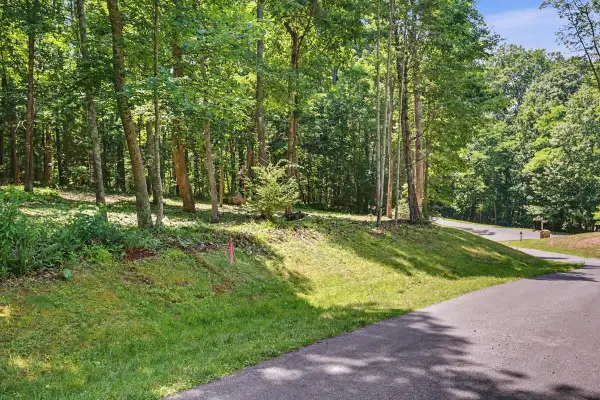 Lot 50 Donald Ross Trl, Hot Springs, VA 24445