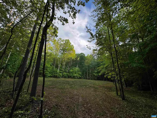 0 Fredericksburg Rd, Ruckersville, VA 22968
