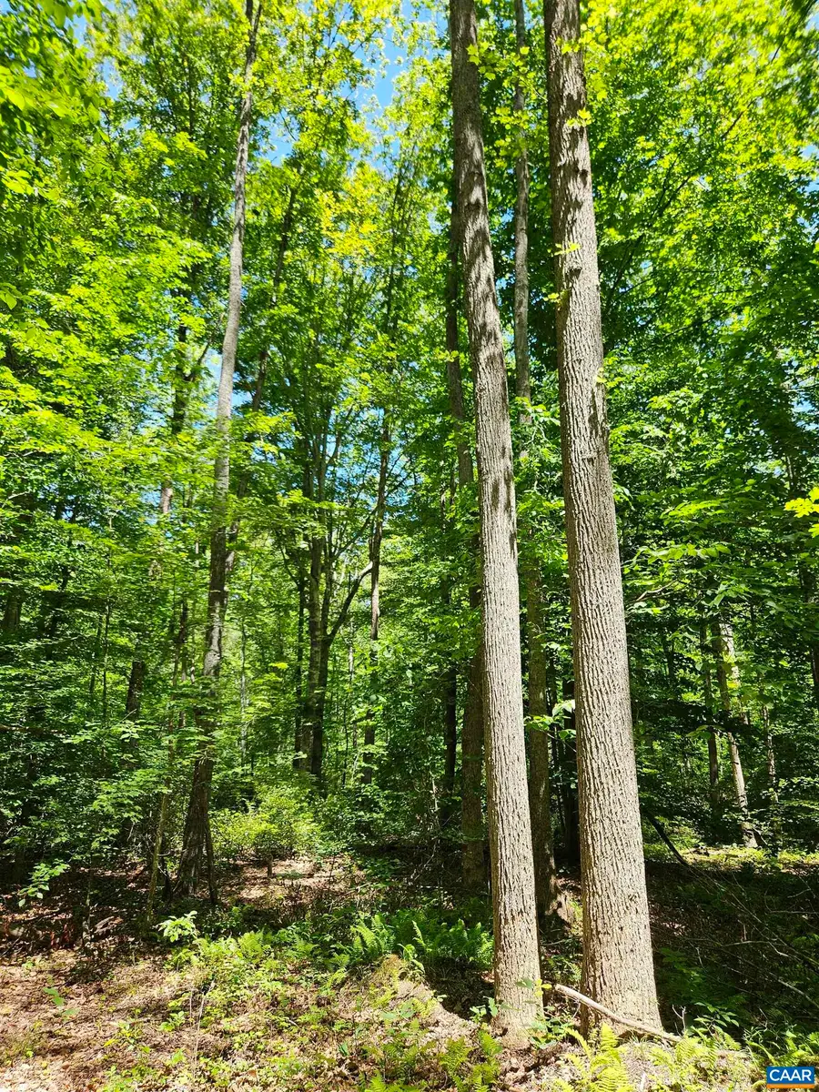 Manteo Rd, Buckingham, VA 23921 - #2