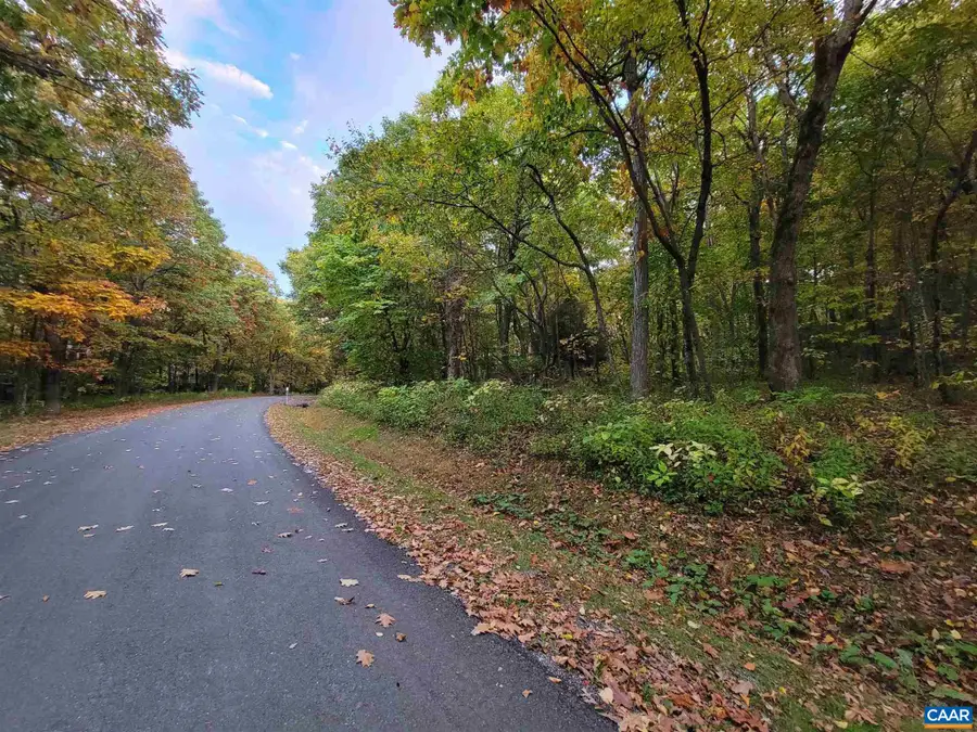 41 Hickory Spring Rd, Wintergreen Resort, VA 22967 - #3