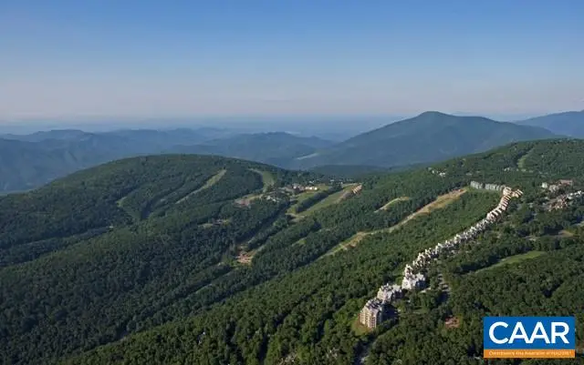 112 Fairway Oaks Ln, Wintergreen, VA 22958 - #3