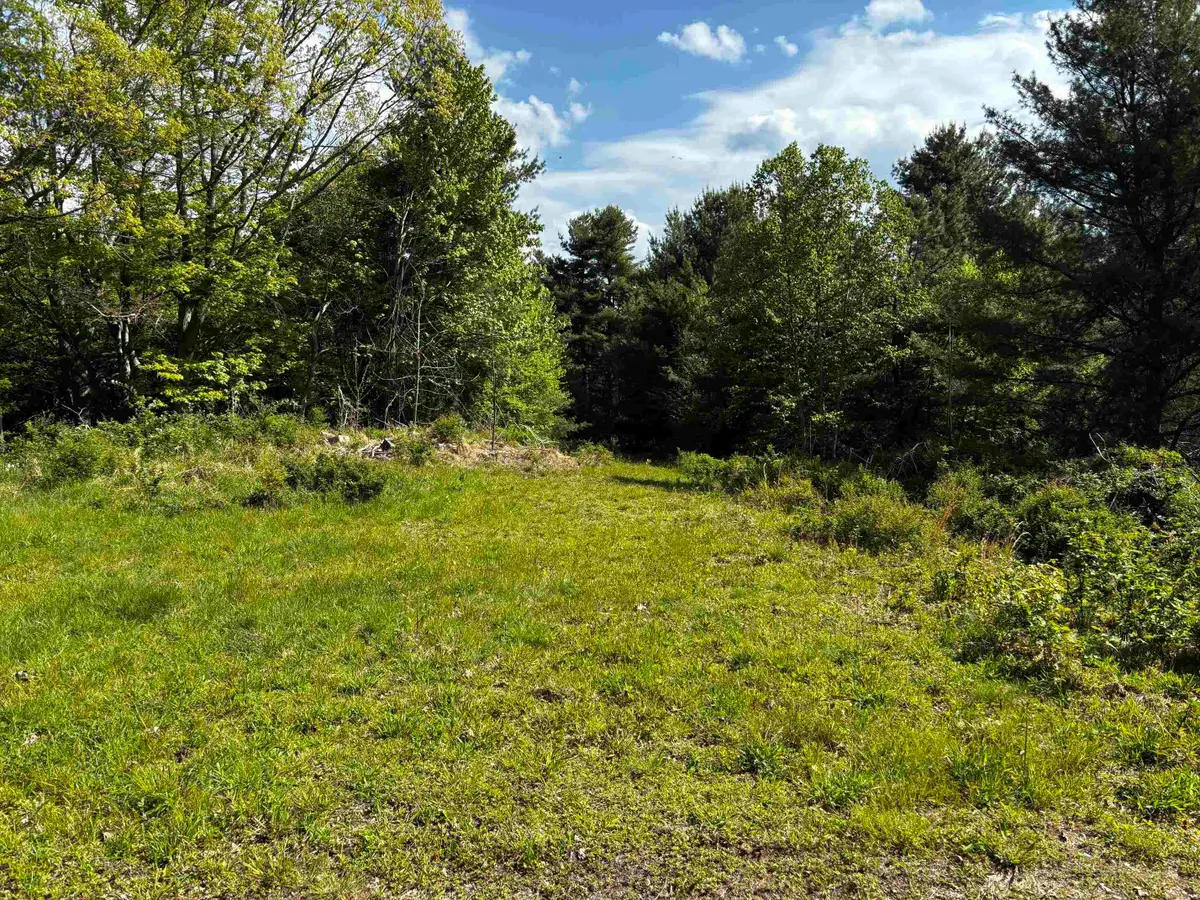 TBD Crabtree Falls Hwy, Vesuvius, VA 24483 - #1