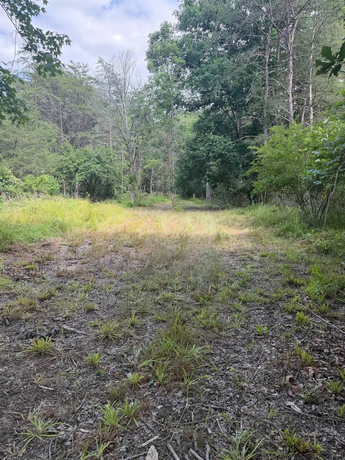 11289 Cowpasture River Hwy, Millboro, VA 24460 - #1