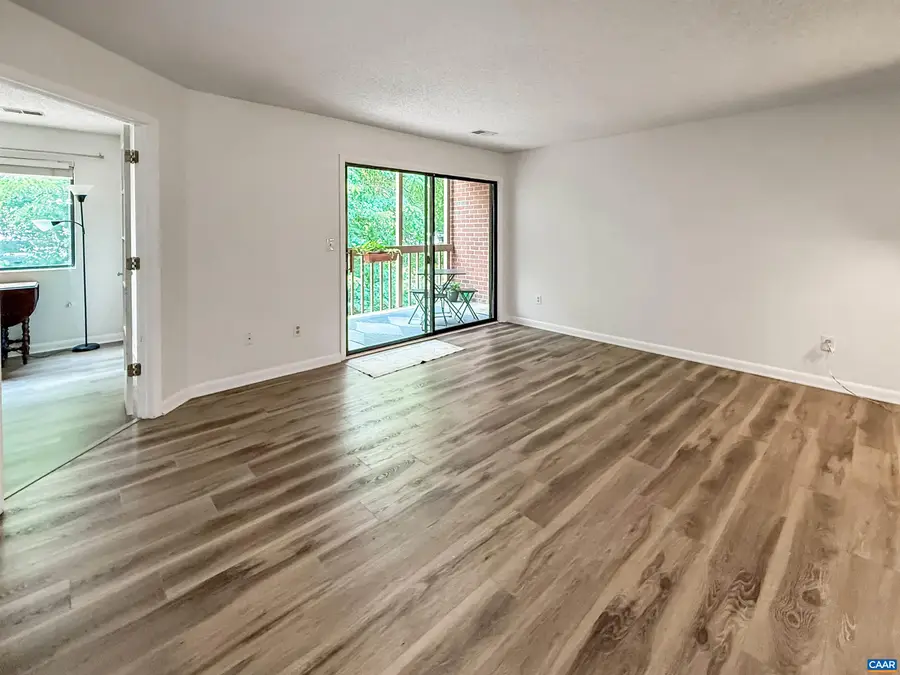 138 Green Turtle Ln, Charlottesville, VA 22902 - #2