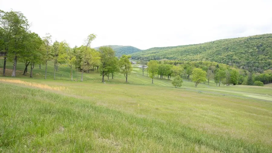 Lot 7 Golf Club Dr, Franklin, WV 26807 - #3
