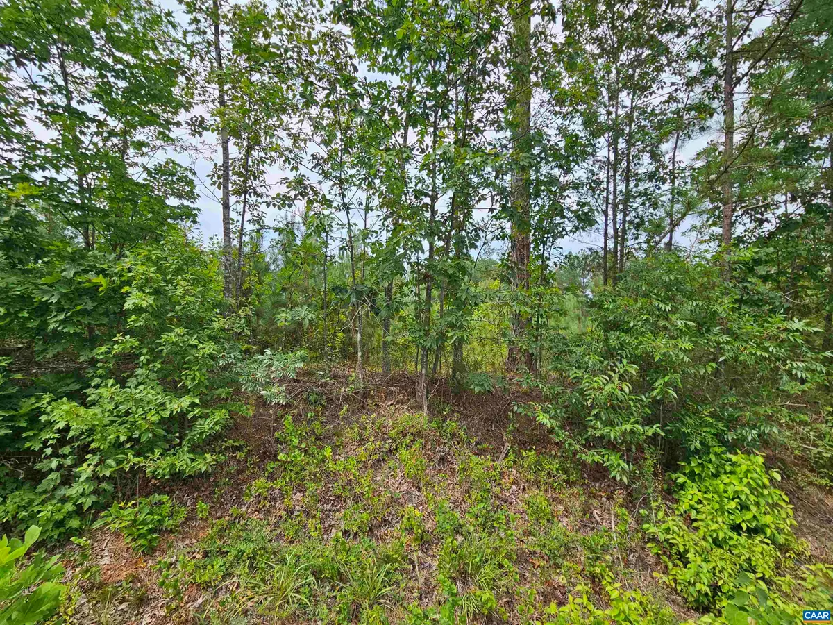 2.67 Ac Penlan Rd, Arvonia, VA 23004 - #1