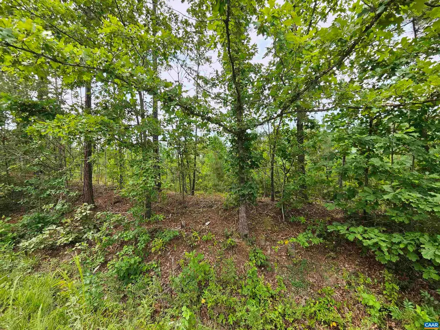 2.67 Ac Penlan Rd, Arvonia, VA 23004 - #3