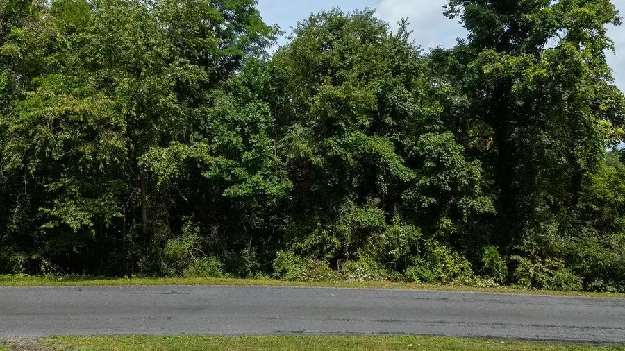 TBD Stover Shop Rd, Churchville, VA 24421 - #2