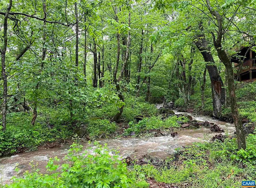 426 Laurel Springs Dr, Wintergreen Resort, VA 22967 - #2