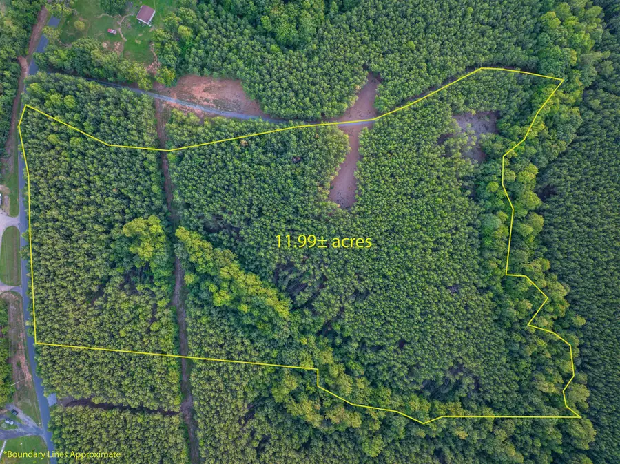 Lot B Mountain Cut Rd, Appomattox, VA 24522 - #2