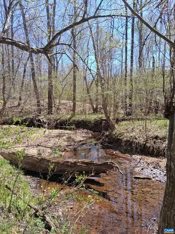 Lot 3 Ridge Rd, Palmyra, VA 22963
