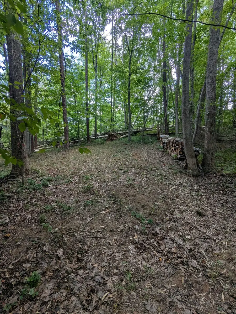 TBD Burton Lake Rd, Chatham, VA 24531 - #3