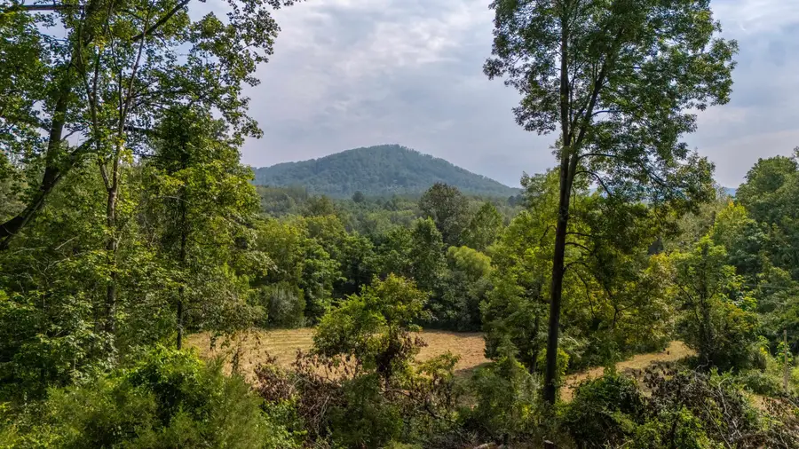 188 Pounding Branch Rd, Afton, VA 22920 - #2