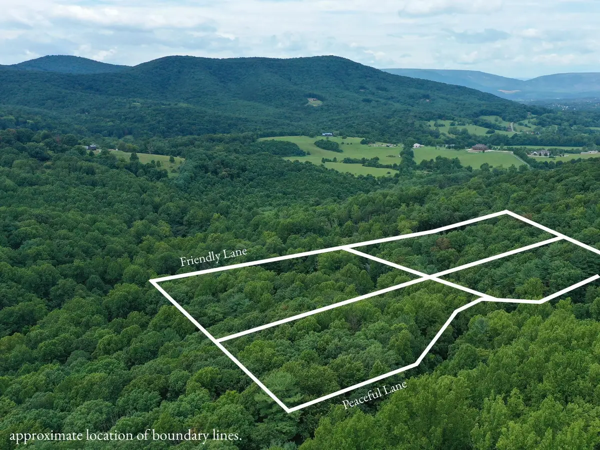 195 Friendly Ln, Stanley, VA 22851 - #1