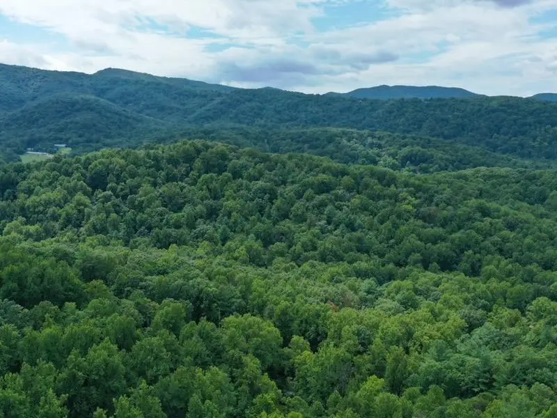 195 Friendly Ln, Stanley, VA 22851 - #2