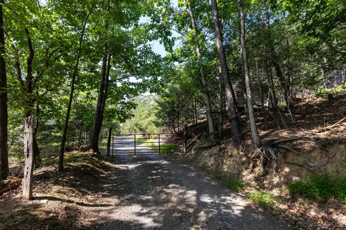 Alum Springs Rd, Basye, VA 22810 - #1