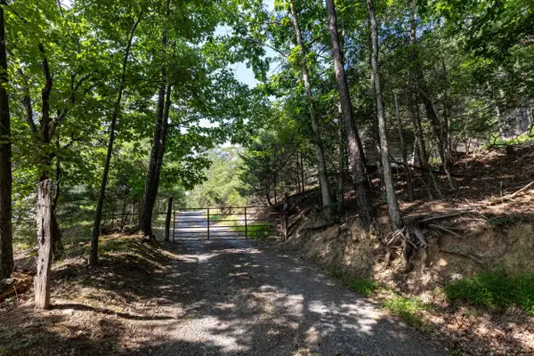Alum Springs Rd, Basye, VA 22810
