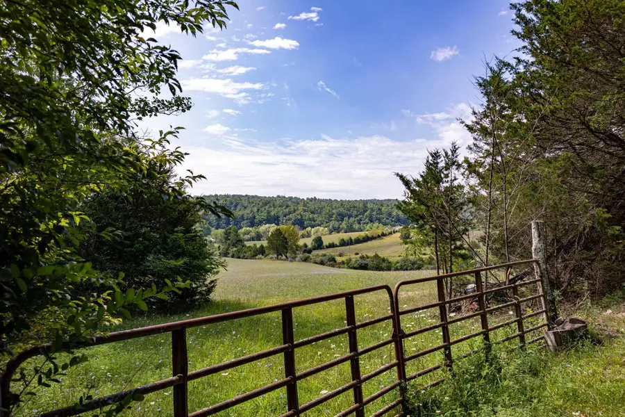 Alum Springs Rd, Basye, VA 22810 - #3