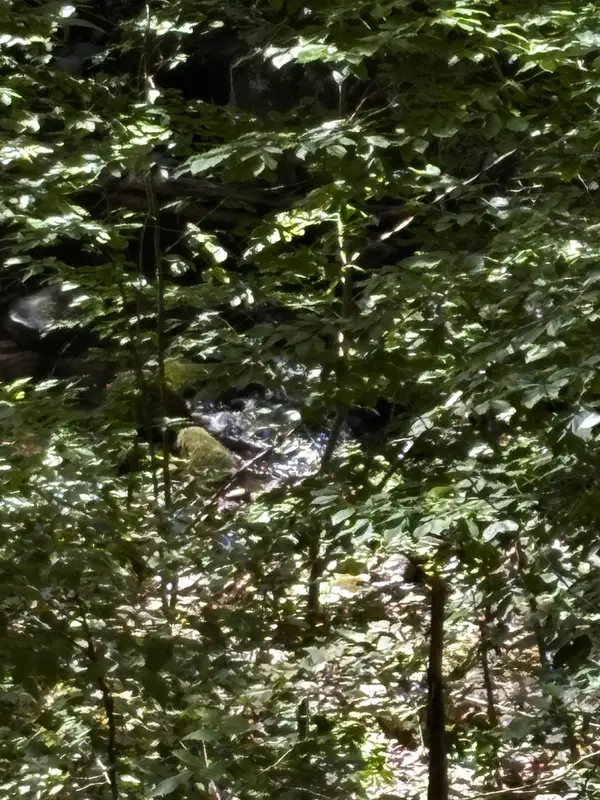 Crabtree Falls Hwy, Tyro, VA 22976