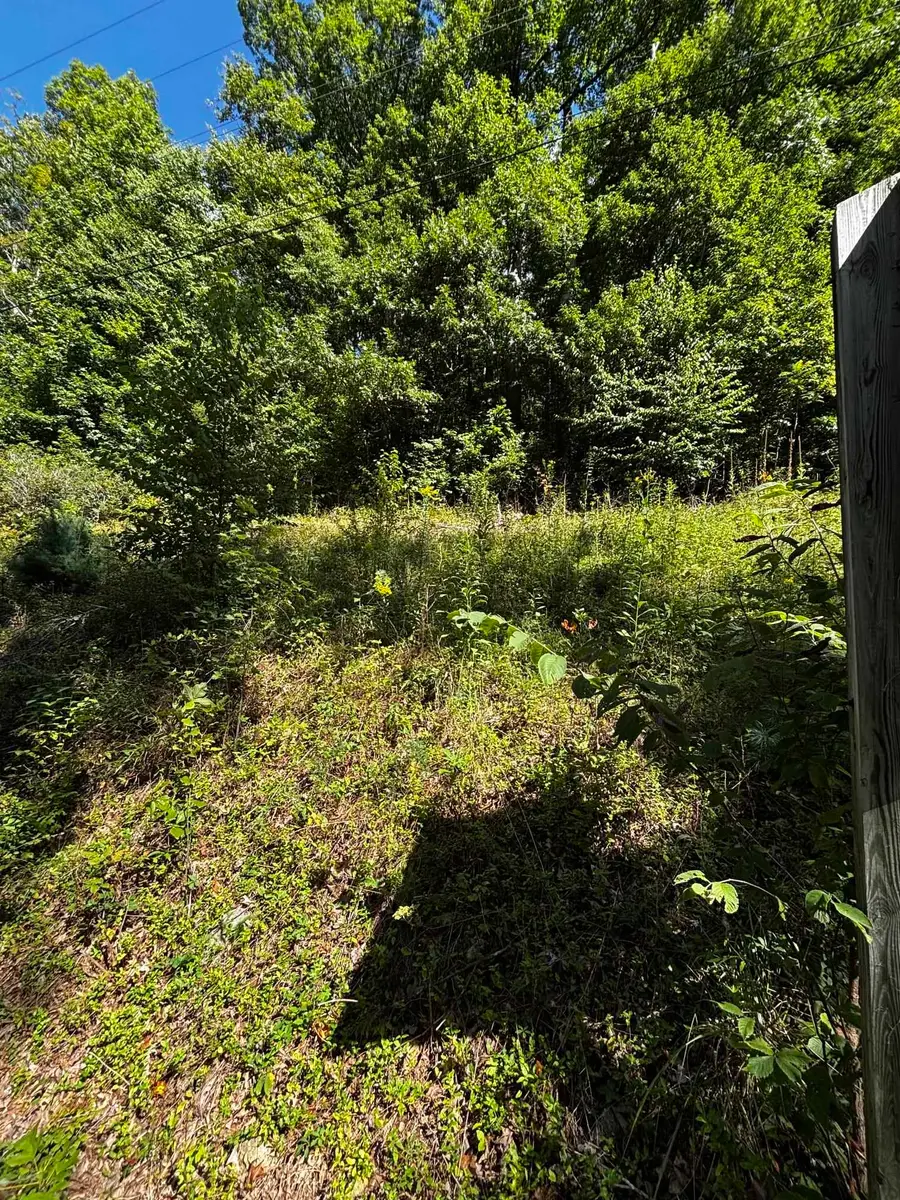 Crabtree Falls Hwy, Tyro, VA 22976 - #2