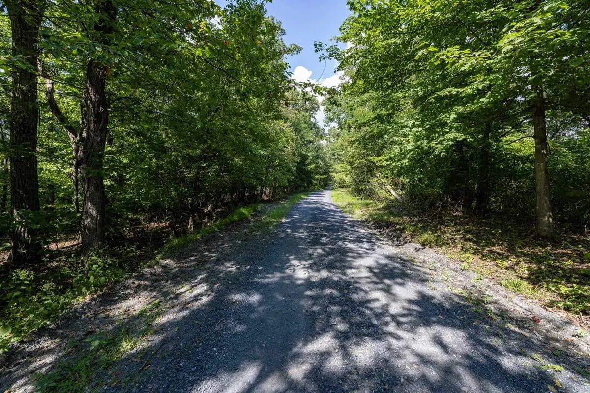 0 Supinlick Ridge Rd, Broadway, VA 22815 - #1