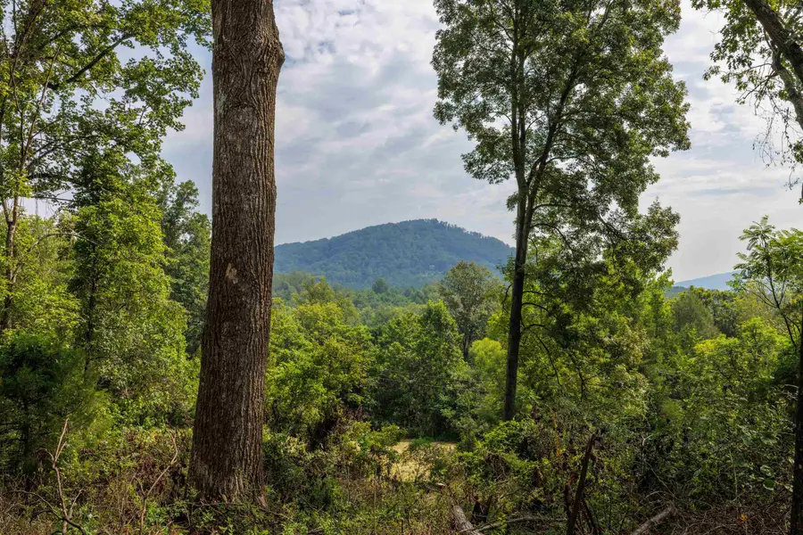 TBD Pounding Branch Rd, Afton, VA 22920 - #2