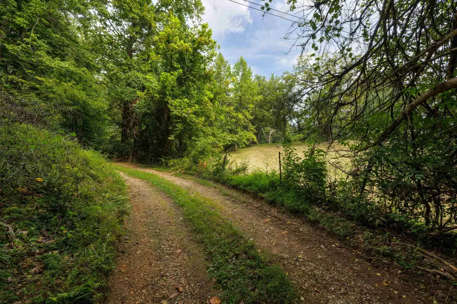 TBD Pounding Branch Rd, Afton, VA 22920 - #3
