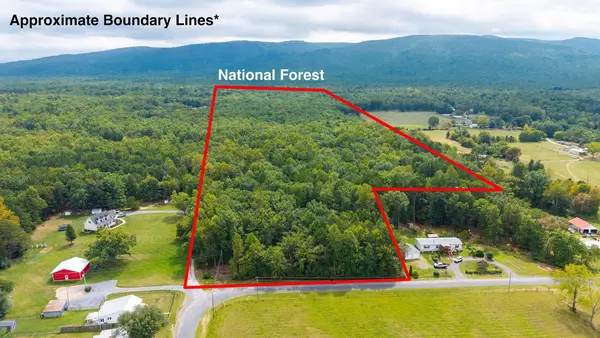 47.8 Acres Horseshoe Cir, Stuarts Draft, VA 24477
