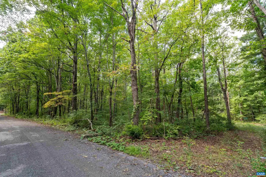 262 Deer Trl, Greenville, VA 24440 - #2