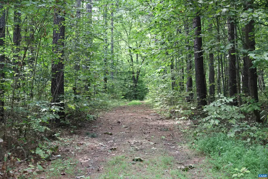 Hollowback Ln, Madison, VA 22727 - #2