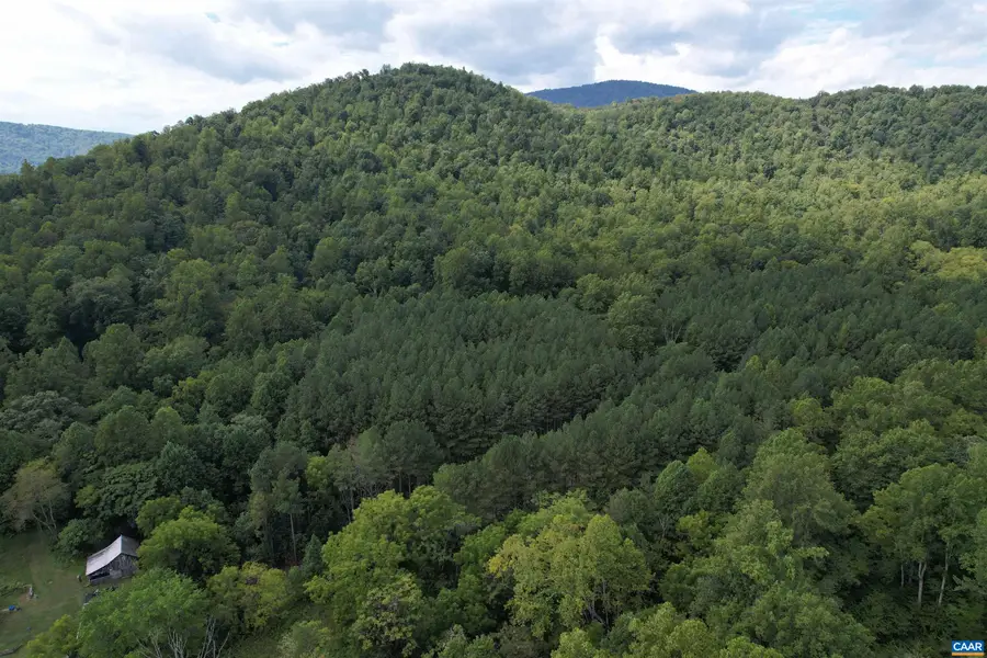 Hollowback Ln, Madison, VA 22727 - #3