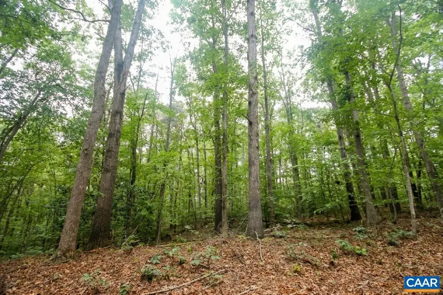 845 Raccoon Ridge, Scottsville, VA 24590 - #2