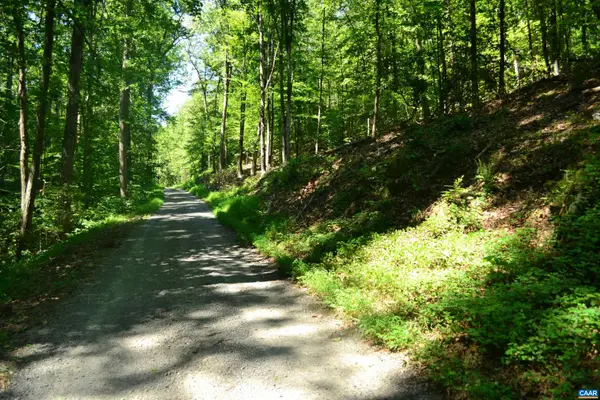 TBD Damon Rd, Schuyler, VA 22969