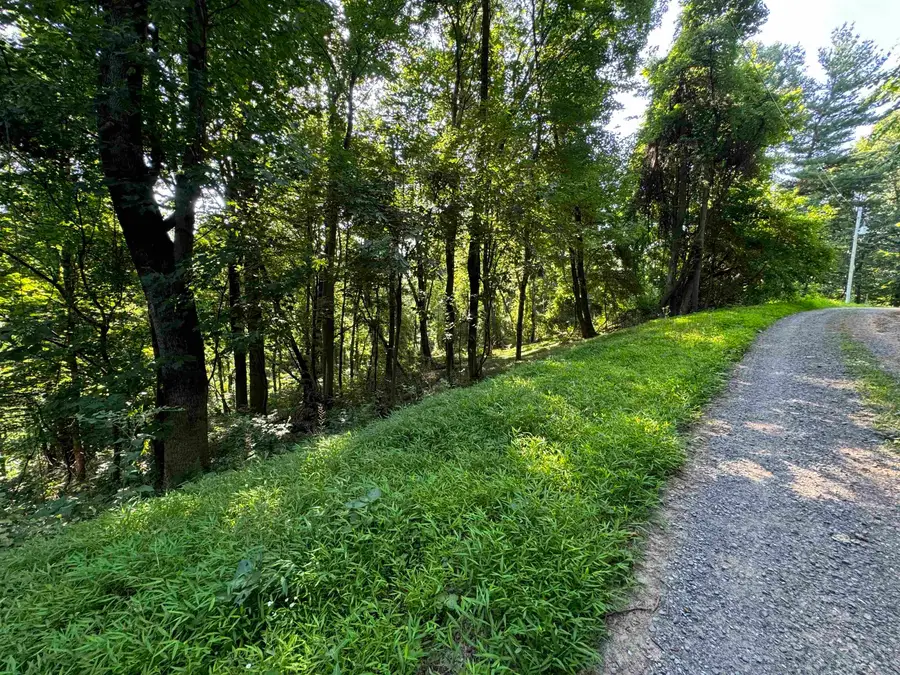 TBD Whispering Ln, Stanley, VA 22851 - #3