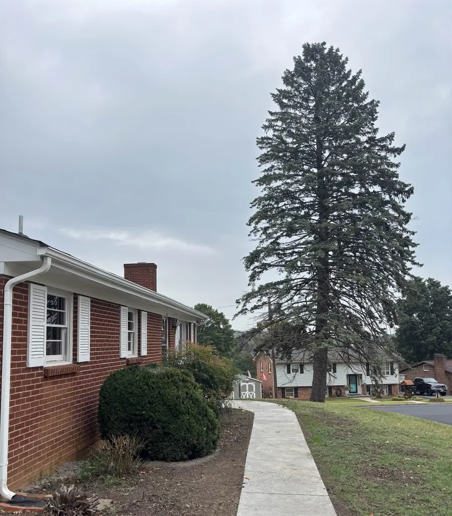 316 Monument Dr, Staunton, VA 24441 - #2