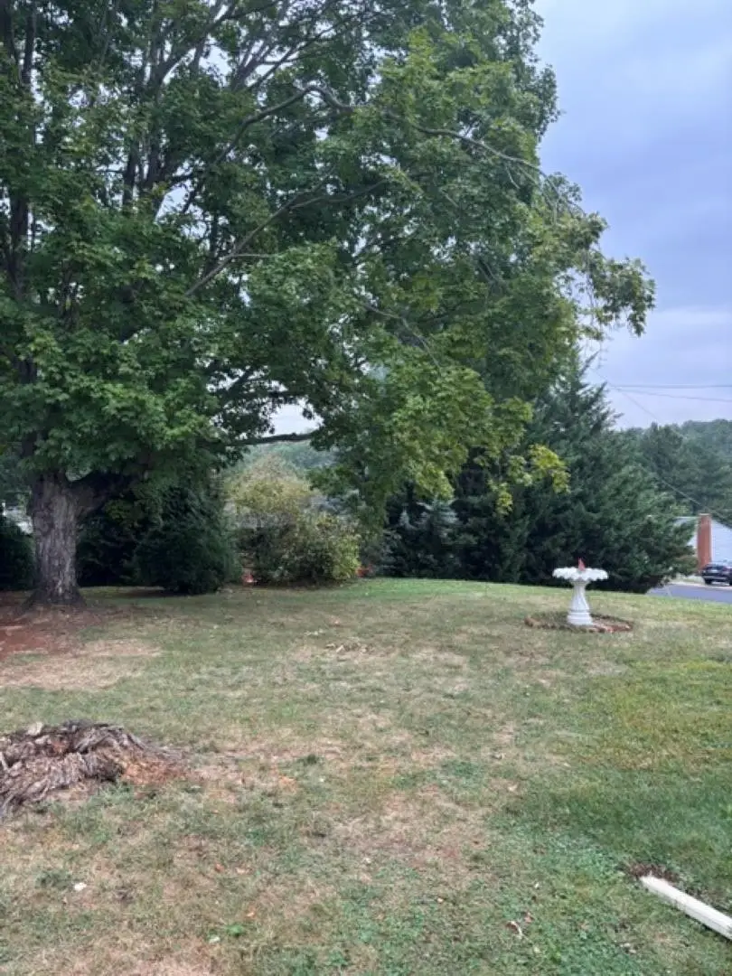316 Monument Dr, Staunton, VA 24441 - #3
