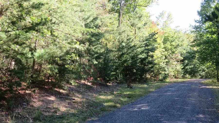 TBD Birds Nest Rd, Hinton, VA 22831 - #2