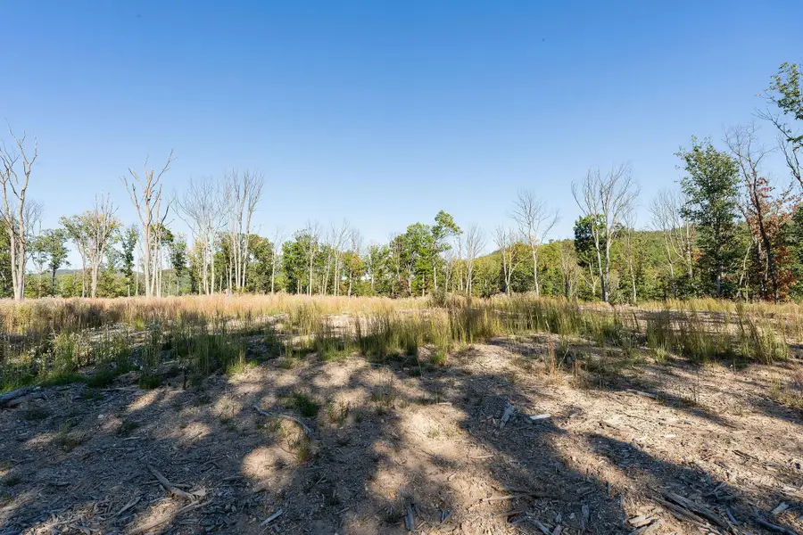 TBD Calf Mountain Rd, Waynesboro, VA 22980 - #3