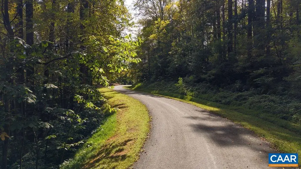 310 Stone Chimneys Rd, Nellysford, VA 22958 - #1