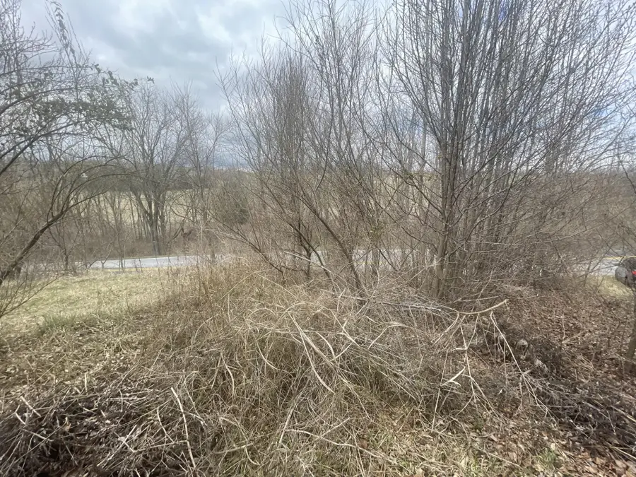 0 Long Meadow Rd, Fishersville, VA 22939 - #2