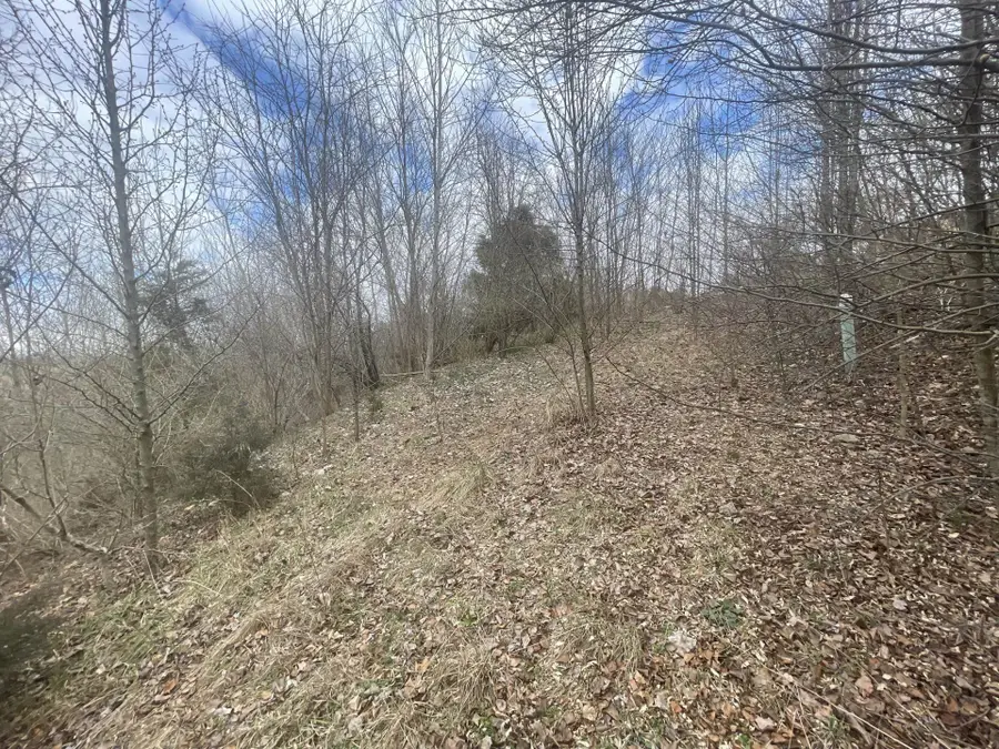 0 Long Meadow Rd, Fishersville, VA 22939 - #3