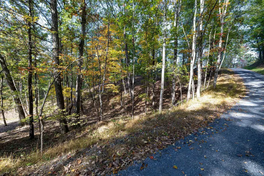 0 Dawn Dr, Basye, VA 22810 - #2