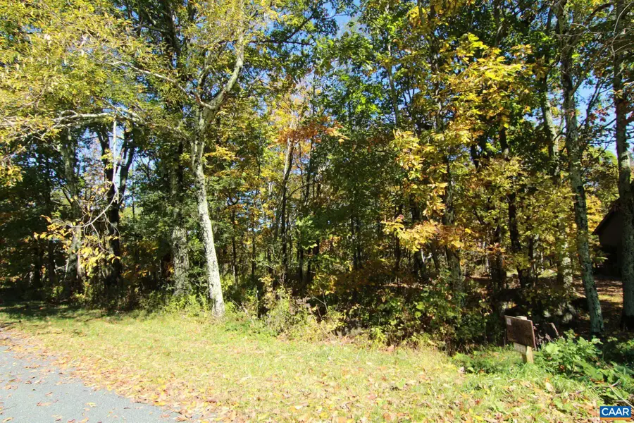 1154 Devils Knob Loop, Roseland, VA 22967 - #2