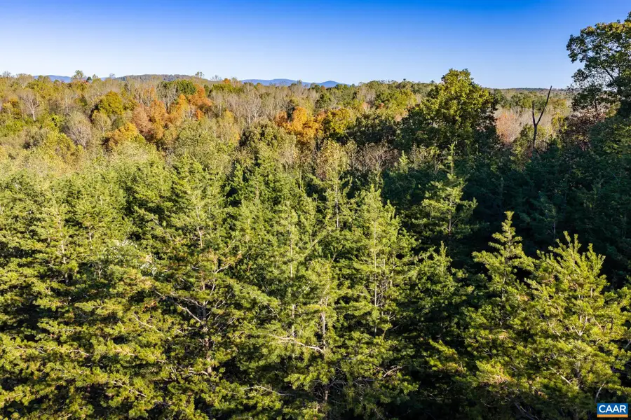 3.94 AC Peace And Quiet Cir, Reva, VA 22735 - #2