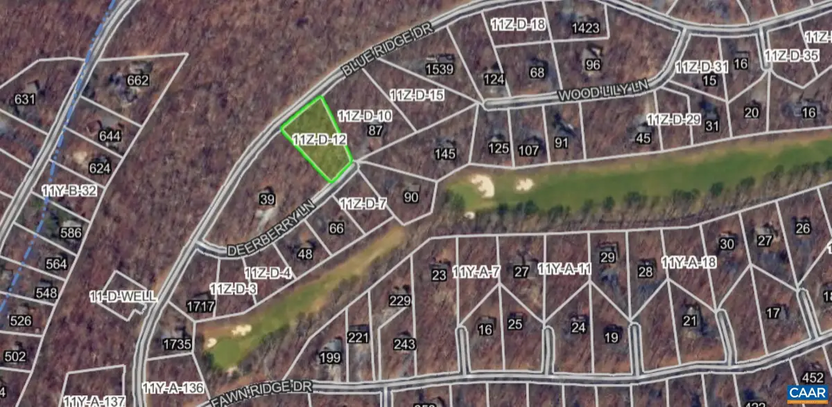 87 Deerberry Ln, Roseland, VA 22967 - #1